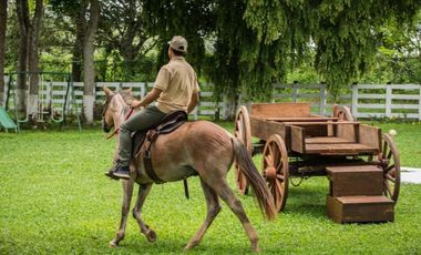VENDO ESPECTACULAR FINCA AGROTURISTICA EN PANAMA OESTE