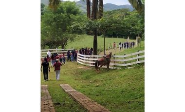 VENDO ESPECTACULAR FINCA AGROTURISTICA EN PANAMA OESTE