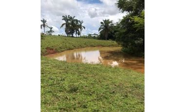 VENDO ESPECTACULAR FINCA AGROTURISTICA EN PANAMA OESTE