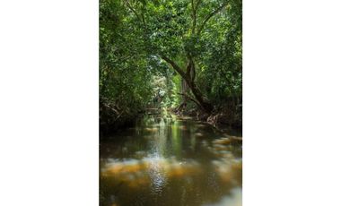 VENDO ESPECTACULAR FINCA AGROTURISTICA EN PANAMA OESTE