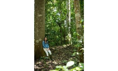 VENDO ESPECTACULAR FINCA AGROTURISTICA EN PANAMA OESTE