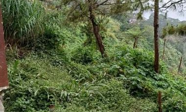 LOT FOR SALE WITH OVERLOOKING VIEW!