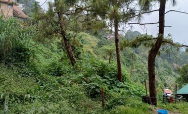 LOT FOR SALE WITH OVERLOOKING VIEW!