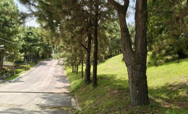 Crosswinds Subdivision Tagaytay City lot for sale 437 sqm