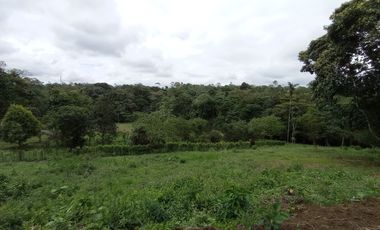 Venta Lotes de Terreno Desde 5000 m² - Pedro Vicente Maldonado