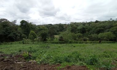 Venta Lotes de Terreno Desde 5000 m² - Pedro Vicente Maldonado