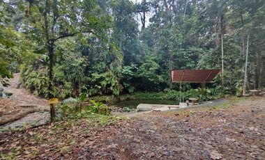 Venta Lotes de Terreno Desde 5000 m² - Pedro Vicente Maldonado