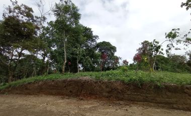 Venta Lotes de Terreno Desde 5000 m² - Pedro Vicente Maldonado