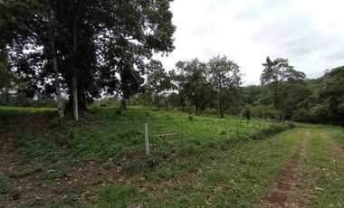 Venta Lotes de Terreno Desde 5000 m² - Pedro Vicente Maldonado