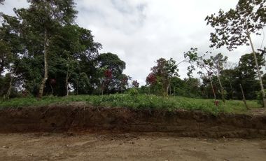 Venta Lotes de Terreno Desde 5000 m² - Pedro Vicente Maldonado