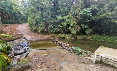 Venta Lotes de Terreno Desde 5000 m² - Pedro Vicente Maldonado