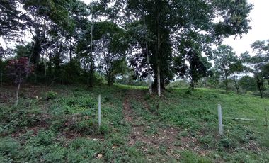 Venta Lotes de Terreno Desde 5000 m² - Pedro Vicente Maldonado