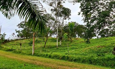 Venta Lotes de Terreno Desde 5000 m² - Pedro Vicente Maldonado