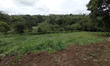 Venta Lotes de Terreno Desde 5000 m² - Pedro Vicente Maldonado