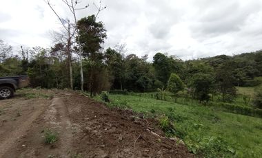 Venta Lotes de Terreno Desde 5000 m² - Pedro Vicente Maldonado