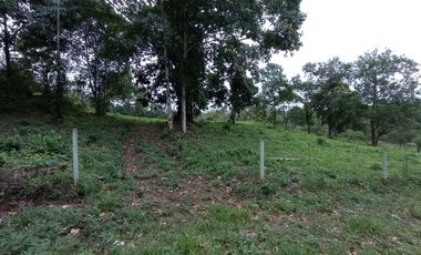 Venta Lotes de Terreno Desde 5000 m² - Pedro Vicente Maldonado