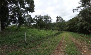 Venta Lotes de Terreno Desde 5000 m² - Pedro Vicente Maldonado