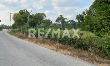 Terreno en Venta en Buenavista 2da Sección  - (3)