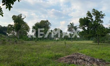 Terreno en Venta en Buenavista 2da Sección  - (3)