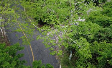 LOTE CON VISTA PANORAMICA EN FRACCIONAMIENTO PRIVADO EN MANZANILLO COLIMA