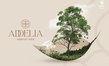 Terrenos residenciales dentro de coto en Las Cañadas