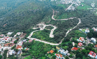 Terrenos residenciales dentro de coto en Las Cañadas