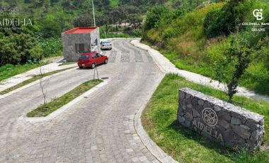 Terrenos residenciales dentro de coto en Las Cañadas