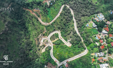 Terrenos residenciales dentro de coto en Las Cañadas