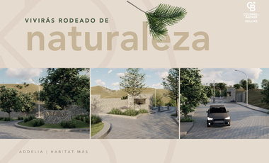 Terrenos residenciales dentro de coto en Las Cañadas