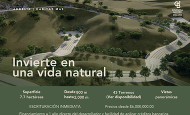 Terrenos residenciales dentro de coto en Las Cañadas