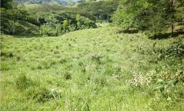 VENTA LOTE TARSO, SUROESTE ANTIOQUEÑO.