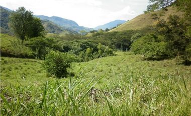 VENTA LOTE TARSO, SUROESTE ANTIOQUEÑO.