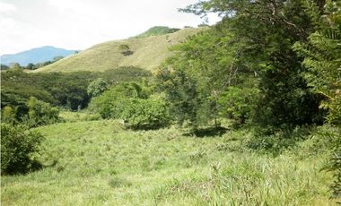 VENTA LOTE TARSO, SUROESTE ANTIOQUEÑO.