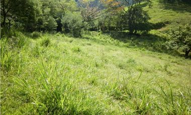 VENTA LOTE TARSO, SUROESTE ANTIOQUEÑO.