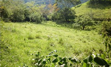 VENTA LOTE TARSO, SUROESTE ANTIOQUEÑO.