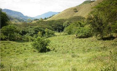 VENTA LOTE TARSO, SUROESTE ANTIOQUEÑO.