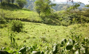 VENTA LOTE TARSO, SUROESTE ANTIOQUEÑO.