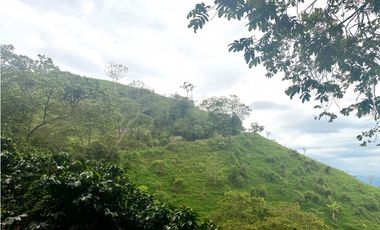 VENTA PERMUTA FINCA EN CORDOBA, QUINDIO  IDEAL PARA PROYECTO TURISTICO