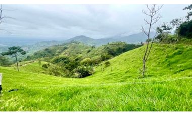 VENTA PERMUTA FINCA EN CORDOBA, QUINDIO  IDEAL PARA PROYECTO TURISTICO