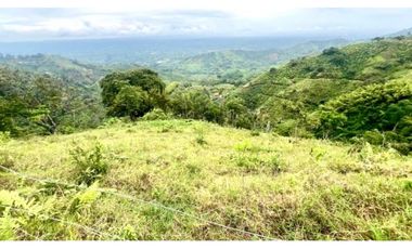 VENTA PERMUTA FINCA EN CORDOBA, QUINDIO  IDEAL PARA PROYECTO TURISTICO