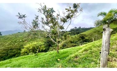 VENTA PERMUTA FINCA EN CORDOBA, QUINDIO  IDEAL PARA PROYECTO TURISTICO