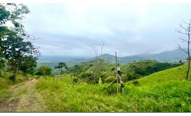 VENTA PERMUTA FINCA EN CORDOBA, QUINDIO  IDEAL PARA PROYECTO TURISTICO