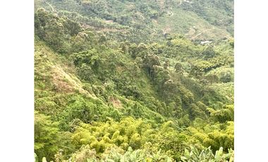 VENTA PERMUTA FINCA EN CORDOBA, QUINDIO  IDEAL PARA PROYECTO TURISTICO