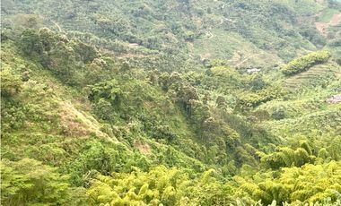 VENTA PERMUTA FINCA EN CORDOBA, QUINDIO  IDEAL PARA PROYECTO TURISTICO