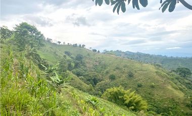 VENTA PERMUTA FINCA EN CORDOBA, QUINDIO  IDEAL PARA PROYECTO TURISTICO