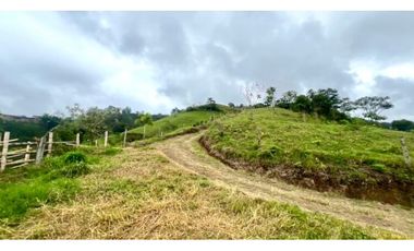 VENTA PERMUTA FINCA EN CORDOBA, QUINDIO  IDEAL PARA PROYECTO TURISTICO