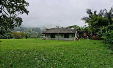 LOTE CON CASA PARA REMODELAR-FRENTE A LA BARRA DE MANOLO - DAPA