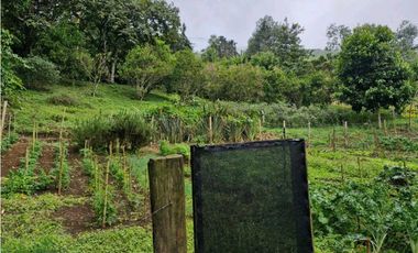 LOTE CON CASA PARA REMODELAR-FRENTE A LA BARRA DE MANOLO - DAPA