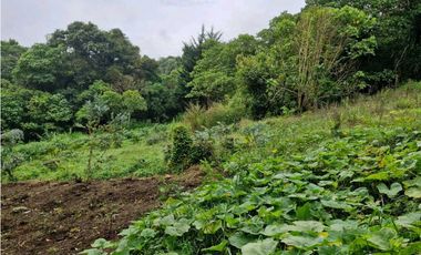 LOTE CON CASA PARA REMODELAR-FRENTE A LA BARRA DE MANOLO - DAPA
