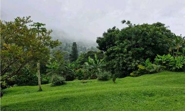 LOTE CON CASA PARA REMODELAR-FRENTE A LA BARRA DE MANOLO - DAPA